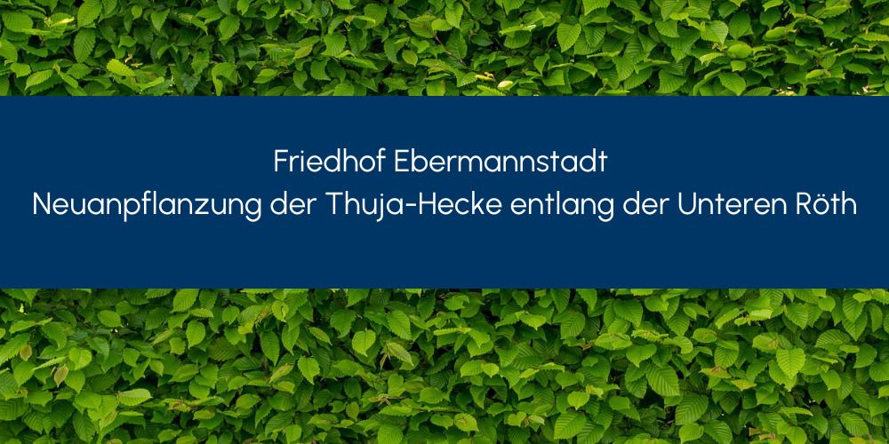 <strong>Friedhof Ebermannstadt; Neuanpflanzung der Thuja-Hecke entlang der Unteren Röth</strong>