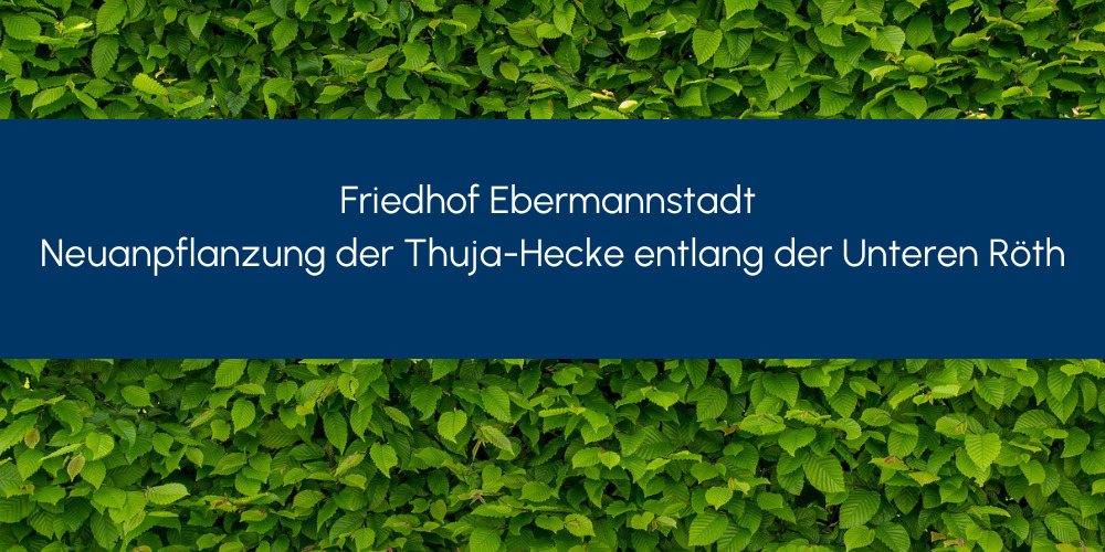 Read more about the article <strong>Friedhof Ebermannstadt; Neuanpflanzung der Thuja-Hecke entlang der Unteren Röth</strong>